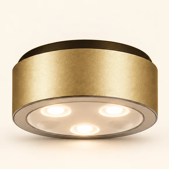 Gold Viso Magnetic Picture Light